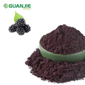 Mulberry frukt pulver
